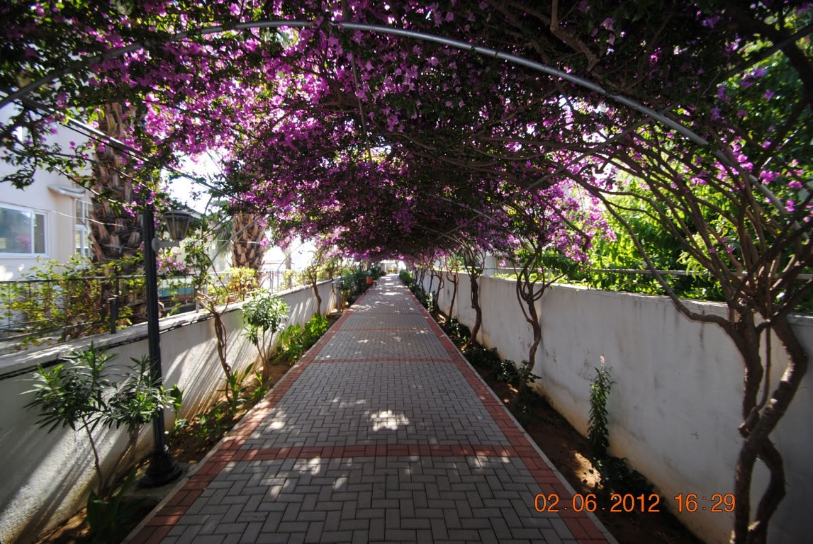 imagini hotel ALAIYE RESORT ALANYA